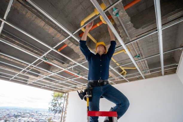 Best Clogged Drain Plumber  in Greenbrier, TN