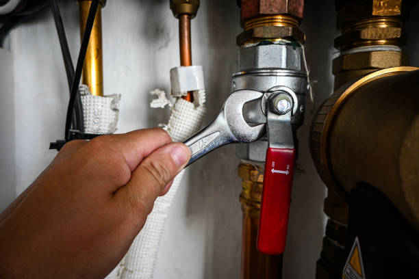 Best Toilet Repair Services  in Greenbrier, TN